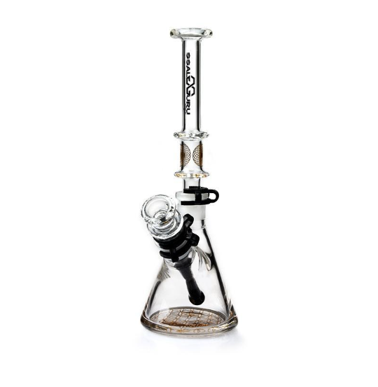 Glass Guru Waterpipe 10" Divided Dual Style Mix Color